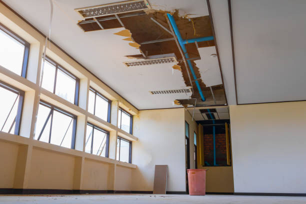 Best Basement water damage restoration  in Ilion, NY