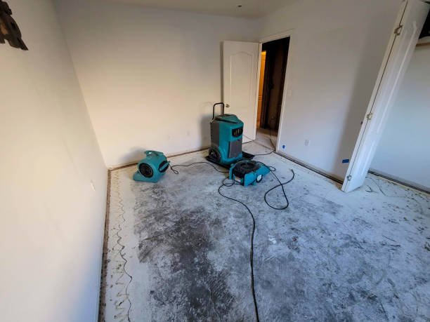 Best Water damage repair service  in Ilion, NY