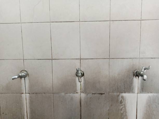 Best Ceiling water damage repair  in Ilion, NY